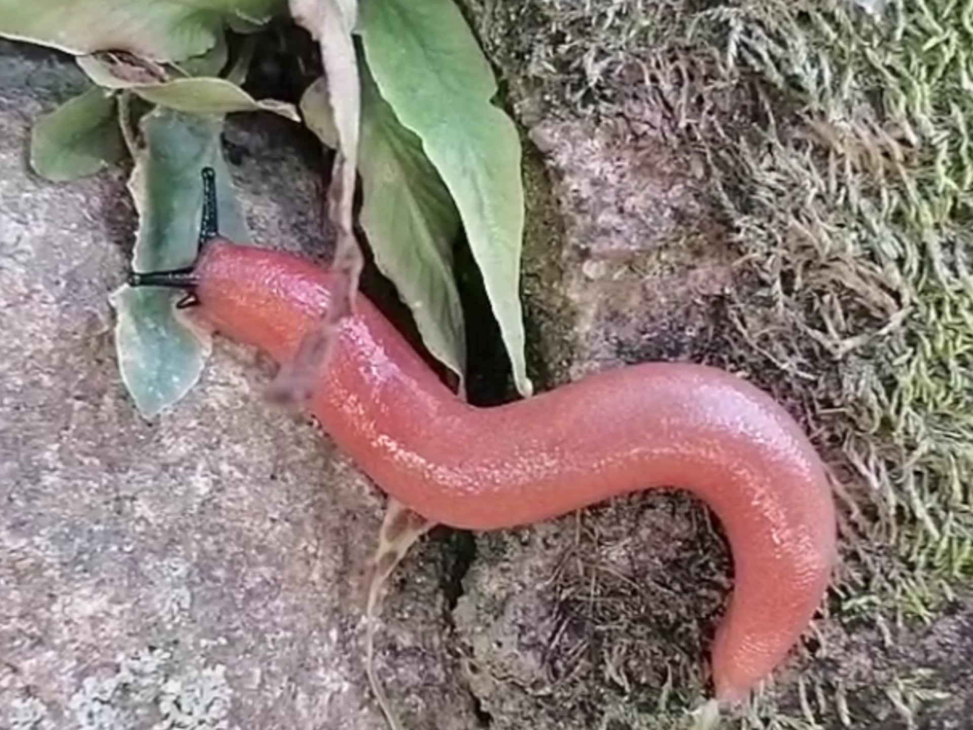 鋛?ュ?蟶h!??qM坃J~蜢獛`??!,QF}礕蝞蓙P??廝e嚓蜅^塄撨ㄛ蕦?戁D#H?X>?8	鶾$峫ノ囄适!ヒ史x"偦u1X贜锛?抆O5?	_歈5U"Qy馯o!抔换挷r??聡??Tm(badl和iadl)-九游登录入口